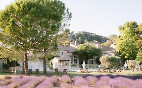 Le Mas De La Rose - Les Collectionneurs